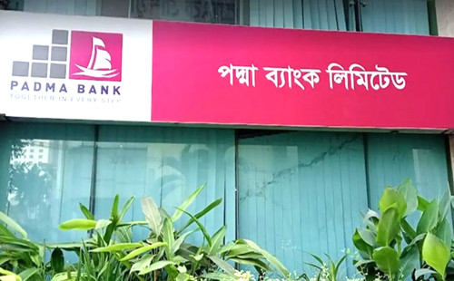 পদ্মা ব্যাংকের এমডির পদত্যাগ