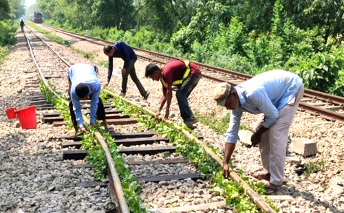 তীব্র গরমে রেললাইন বেঁকে যাওয়ায় ট্রেনের গতি কমিয়ে চলার নির্দেশ 