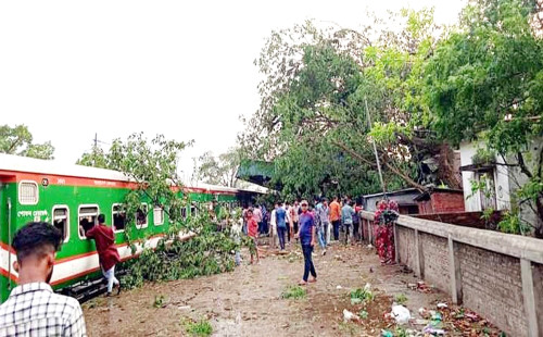 রেললাইনে গাছ পড়ে সিলেটের সঙ্গে সারা দেশের ট্রেন যোগাযোগ বন্ধ