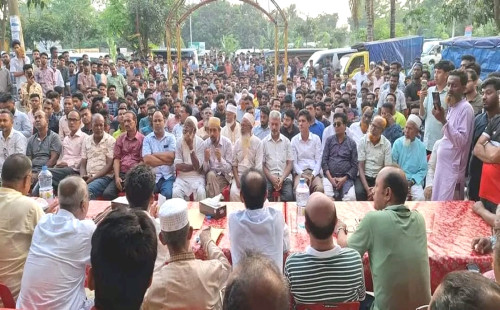 মিরসরাইয়ে ঘোড়া প্রতীকের প্রার্থী শেখ আতাউর রহমানের নির্বাচনী সভা