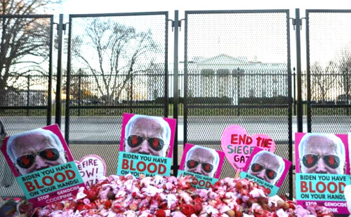 গাজা যুদ্ধ নিয়ে মতবিরোধ, বাইডেন প্রশাসনের ইহুদি-আমেরিকান কর্মকর্তার পদত্যাগ 