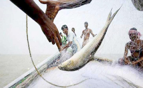 সাগরে মাছ  ধরা ৬৫ দিন বন্ধ 