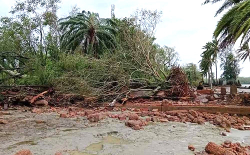 সুন্দরবনে ৩৯ মৃত হরিণ উদ্ধার 