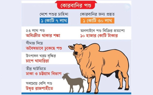 এবার চাহিদার চেয়ে কোরবানির পশু বেশি 