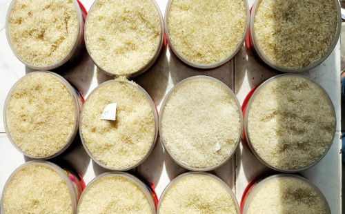 দুই অজুহাতে বাড়ল চালের দাম 