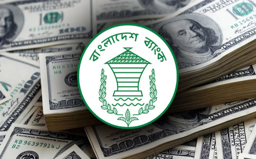 আইএমএফের ঋণে রিজার্ভ বেড়ে ২২ বিলিয়ন ডলার