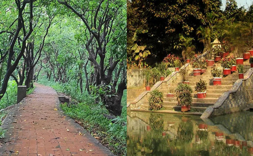 দেশের ৬ উদ্যান-ইকোপার্কে প্রবেশমূল্য বাড়ল ৫ গুণ 