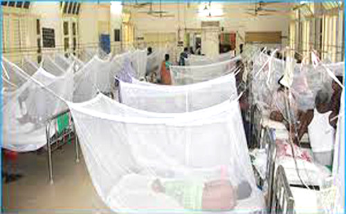 দেশে আরও ৮৮ জনের ডেঙ্গু শনাক্ত 