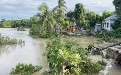 বন্যার পানি কমতেই নদীতে বিলীন হচ্ছে গোমতী পাড়ের ঘরবাড়ি 