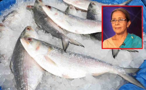 ‘আমরাও দুর্গোৎসব করি, ভারত নয় ইলিশ খাবে বাংলাদেশিরা’ 