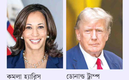 যুক্তরাষ্ট্রের রাজনীতিতে ভারতীয় আমেরিকানদের প্রভাব 