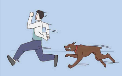 রাঙামাটিতে কুকুরের কামড়ে আহত ৮০ 