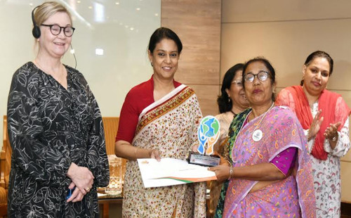 জলবায়ু পরিবর্তন মোকাবিলায় আঞ্চলিক সহযোগিতার প্রয়োজন: সৈয়দা রিজওয়ানা হাসান 