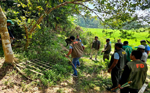 মিরসরাই✏ দখলমুক্ত করে বনভূমিতে বৃক্ষ রোপণ 