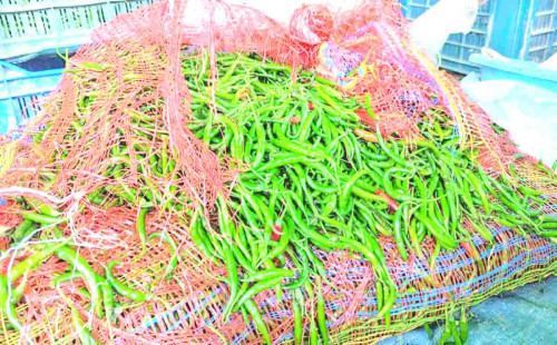 ভারত থেকে ৬০০ টন কাঁচা মরিচের আমদানি, প্রতি কেজি দাম ৯৬ টাকা